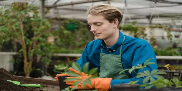 Külföldön dolgozók előtt is megnyílhat a 3%-os lakáshitel lehetősége